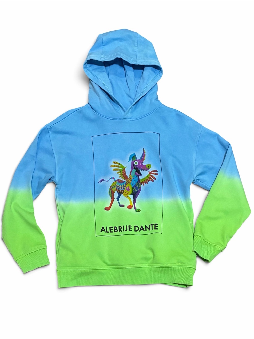 Disney Coco Alebrije Dante Hoodie Kids 9 10 Blue Green Ombre Sweater Boys Girls